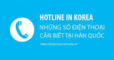 hotline in korea