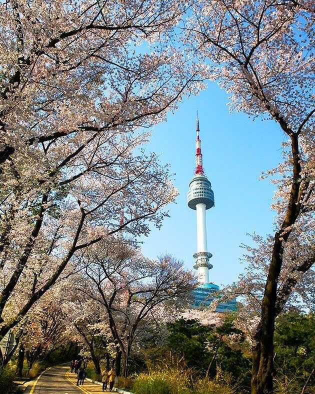 HanNam- N Seoul Tower – Ngắm toàn cảnh thành phố