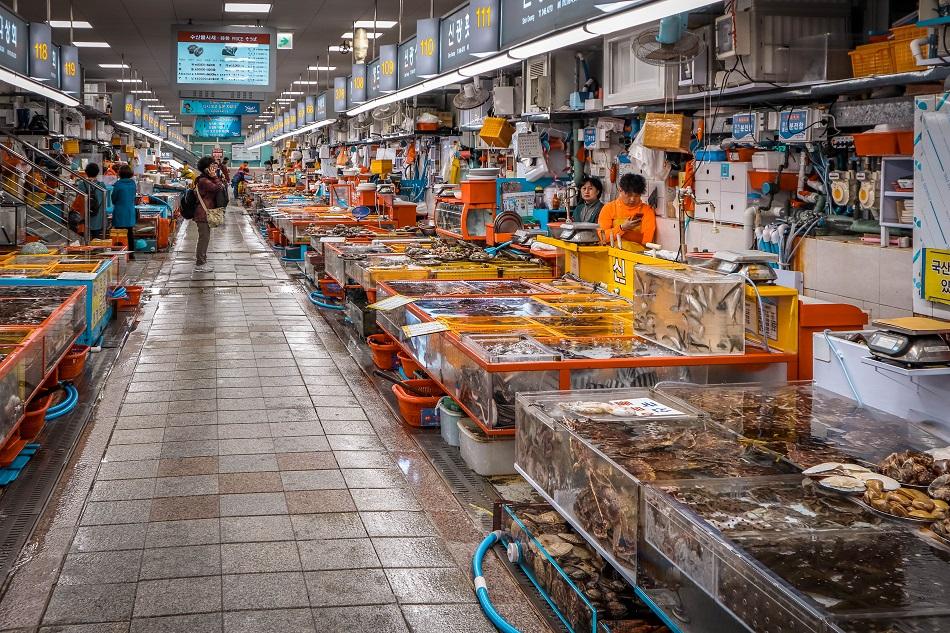 HanNam-Chợ hải sản Jagalchi – Thiên đường hải sản tươi sống Busan