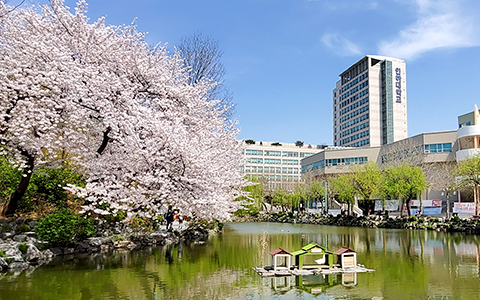 Inha University