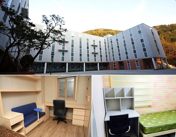 Youngsan University