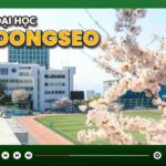 Đại học Dongseo