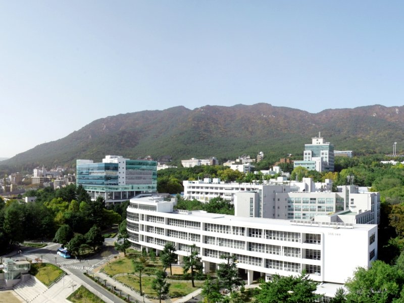 Busan University of Foreign Studies