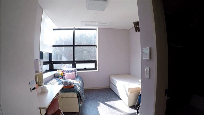 Busan University of Foreign Studies